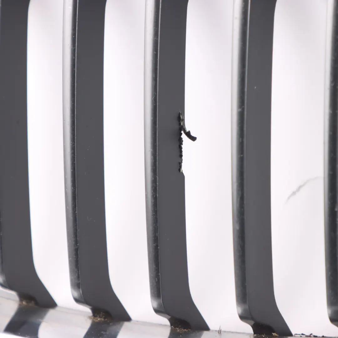 Front Grille BMW F20 F21 Sport Left Right N/O/S Panel Kidney Cover Set to with Part number 7262117 Front Grille BMW F20 F21 Sport Left Right N/O/S Panel Kidney Cover Set - SKU 7262117 - Part number 7262117