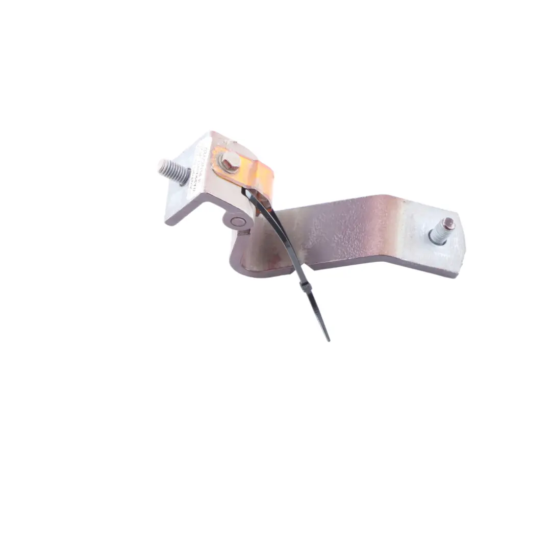  Trunk Hinge Mini F55 F56 Boot Lid Hinge Left N/S Pure Burgundy C2C - SKU 7302539-PBU - Part number 7302539