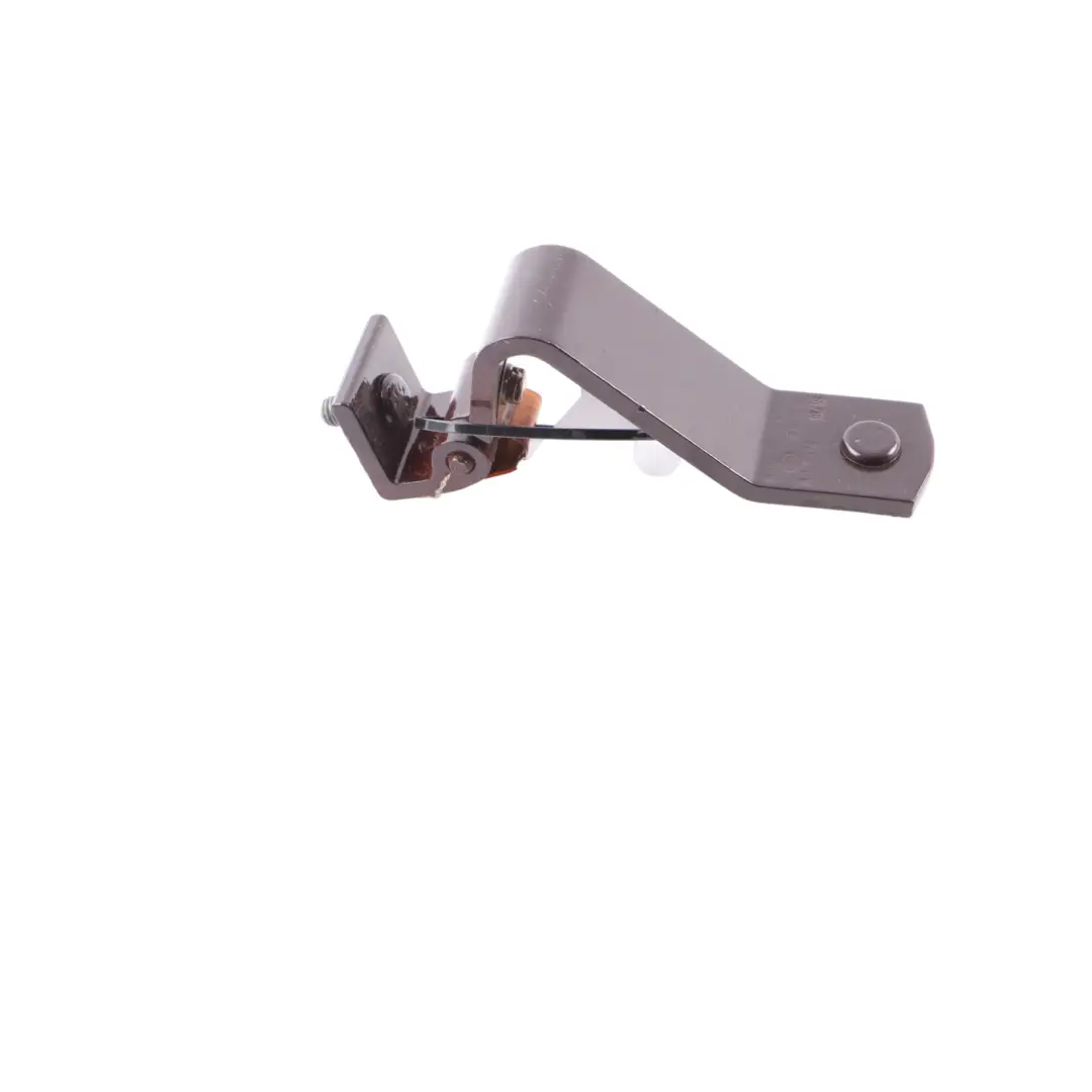  Trunk Hinge Mini F55 F56 Boot Lid Hinge Left N/S Pure Burgundy C2C - SKU 7302539-PBU - Part number 7302539