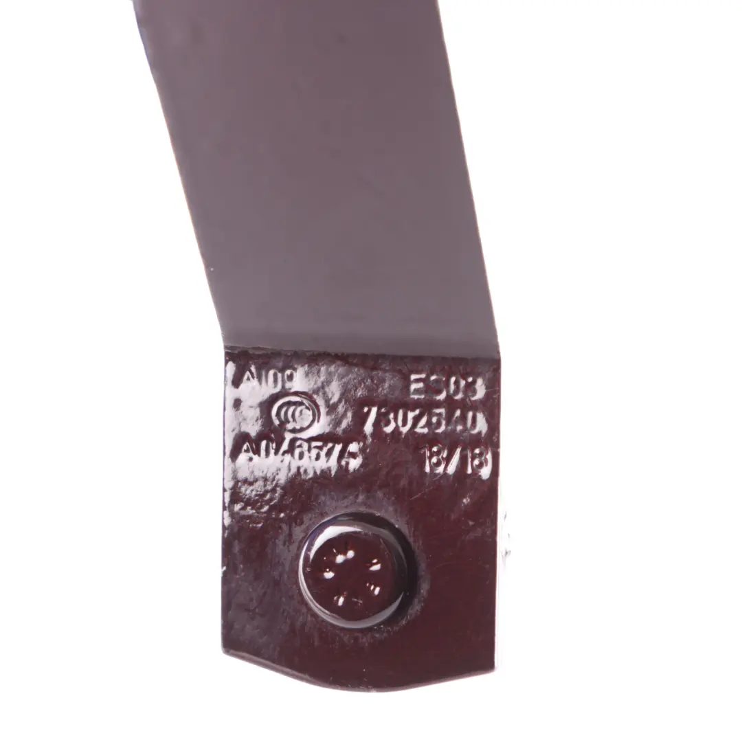  Trunk Hinge Mini F55 F56 Boot Lid Hinge Right O/S Pure Burgundy C2C - SKU 7302540-PBU - Part number 7302540