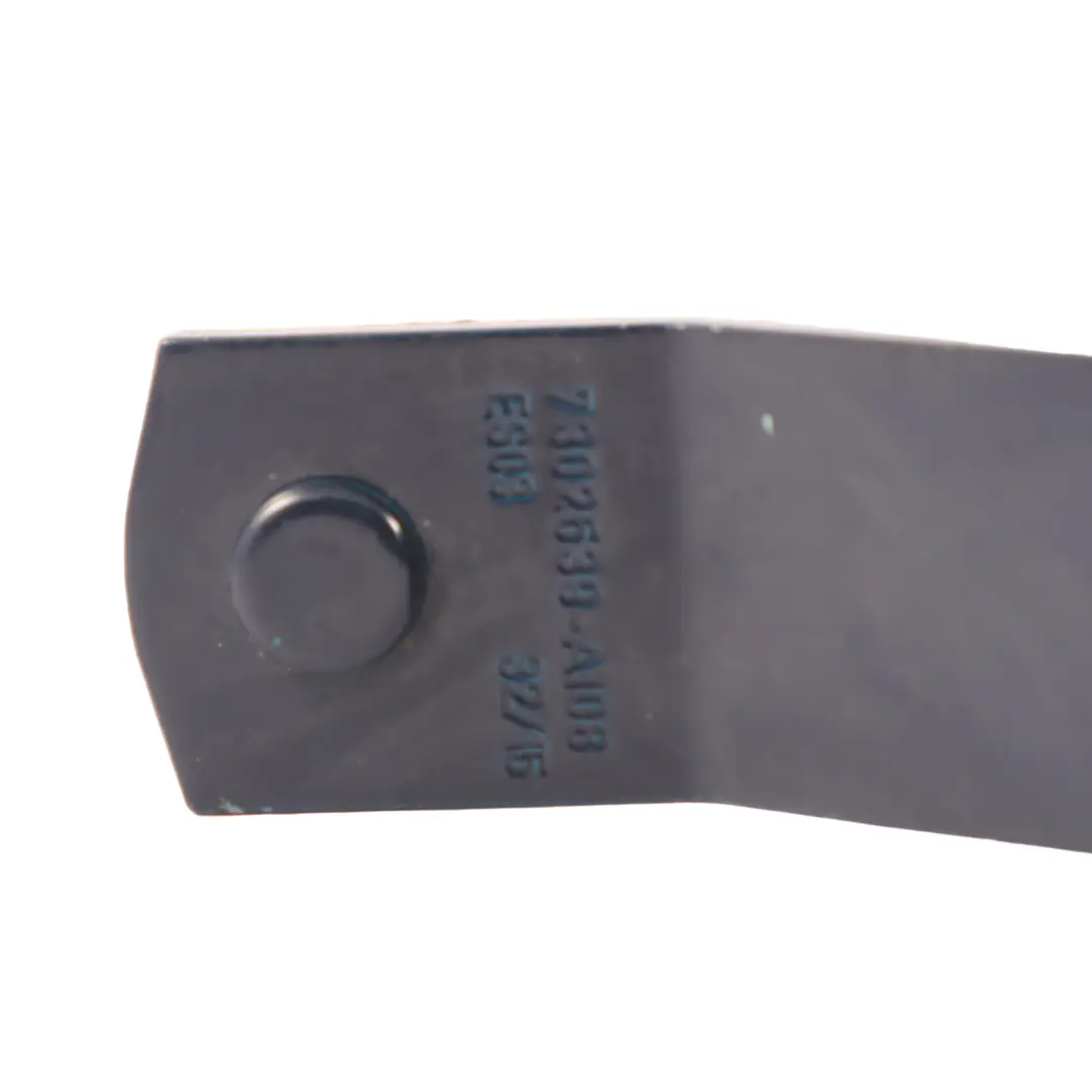 Cerniera Coperchio Posteriore Sinistro Lapisluxury Blue C24 7302539 per Mini F55 F56 con numero di parte 7320547 Mini F55 F56 Cerniera Coperchio Posteriore Sinistro Lapisluxury Blue C24 7302539 - SKU 7320547-LLB - Numero di parte 7320547