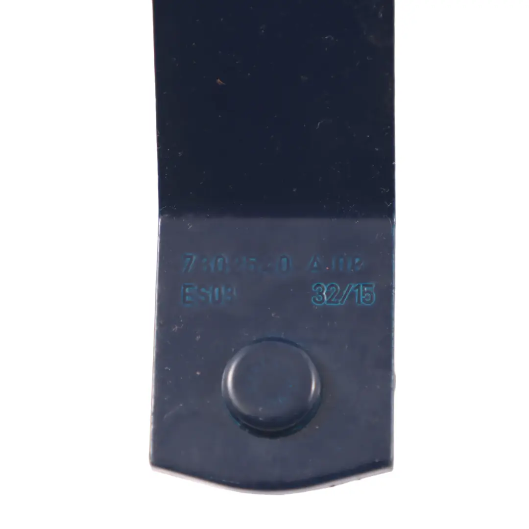 Maletero Tapa Bisagra Trasera Derecha Lapisluxury Azul - C24 para Mini F55 F56 con número de pieza 7320548 Mini F55 F56 Maletero Tapa Bisagra Trasera Derecha Lapisluxury Azul - C24 - SKU 7320548-LLB - Número de pieza 7320548