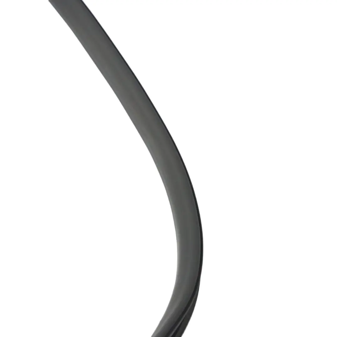 Junta Puerta Delantera Izquierda Derecha Goma Interior para Audi A4 B7 con número de pieza 8E0831721F Audi A4 B7 Junta Puerta Delantera Izquierda Derecha Goma Interior - SKU 8E0831721F - Número de pieza 8E0831721F