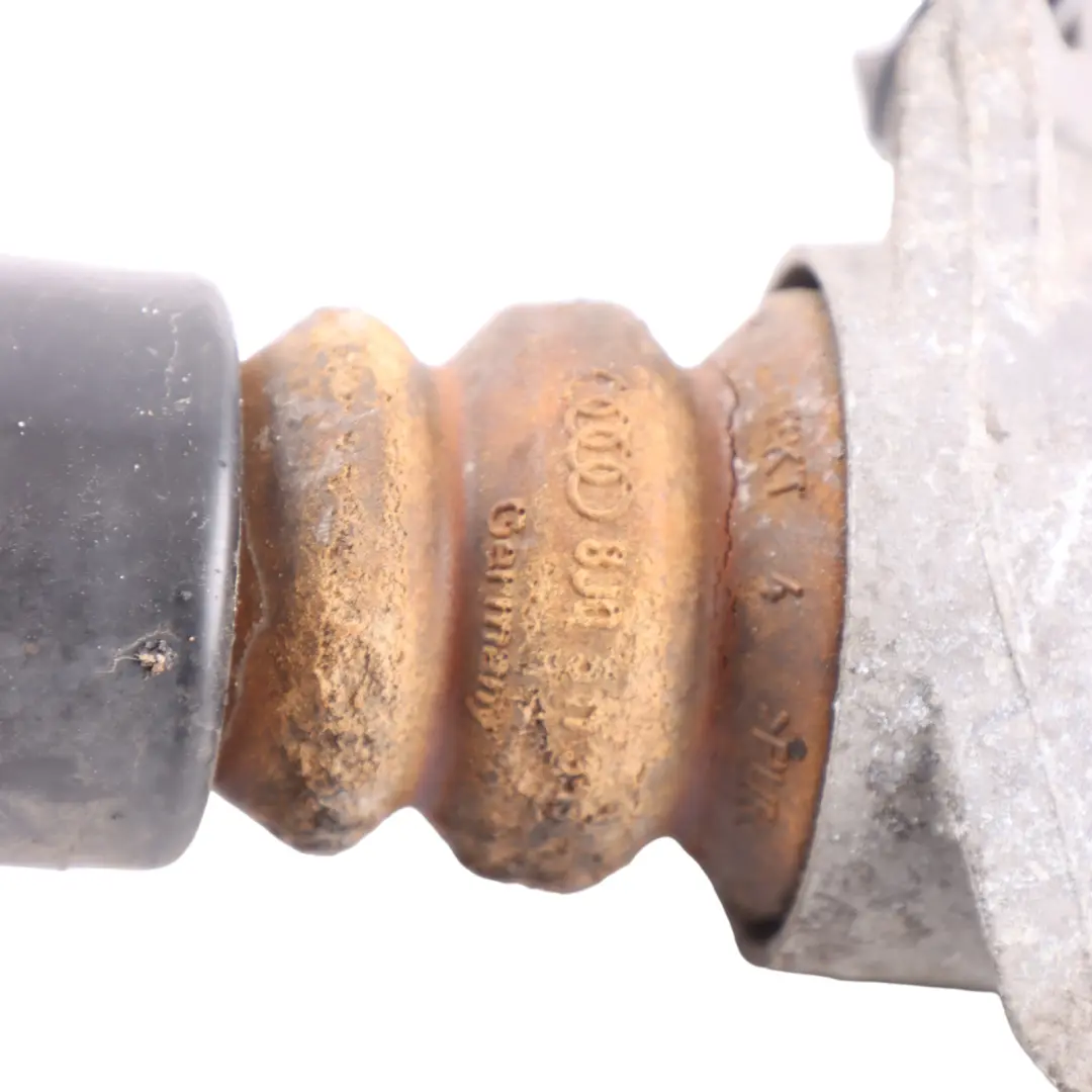 Amortyzator Tył Tylny Prawy Lewy do Audi TT 8J Roadster o numerze 8J0513029K Audi TT 8J Roadster Amortyzator Tył Tylny Prawy Lewy - SKU 8J0513029K - Numer Części 8J0513029K