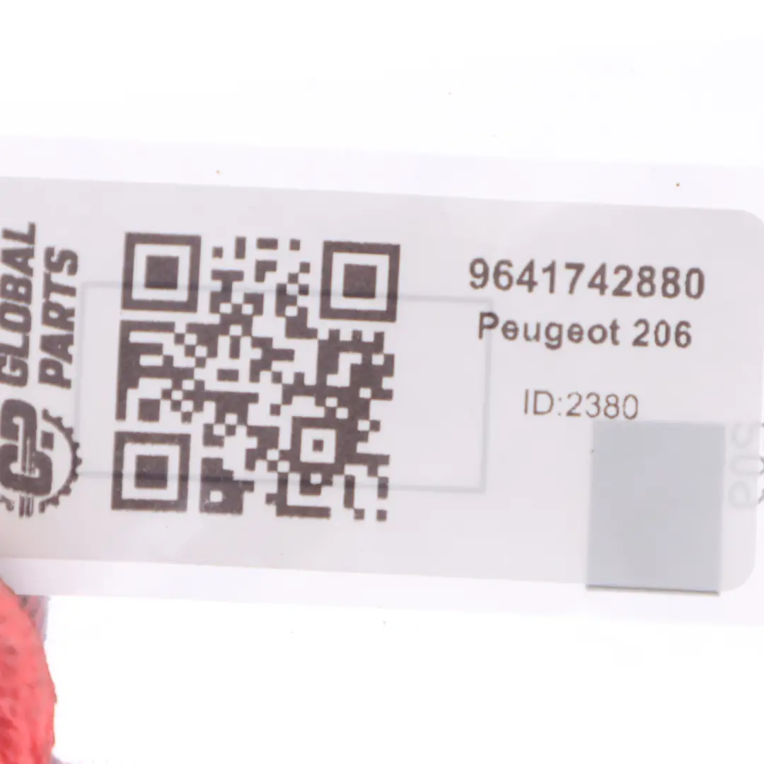 Inyector Diesel para Peugeot 206 2.0 con número de pieza 9641742880 Peugeot 206 2.0 Inyector Diesel - SKU 9641742880 - Número de pieza 9641742880