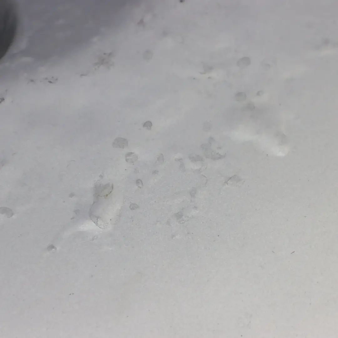 Llanta Aleación Plateada Disco 5 18" 8,5J ET:47 para Mercedes CL C140 con número de pieza A1404011302 Mercedes CL C140 Llanta Aleación Plateada Disco 5 18" 8,5J ET:47 - SKU A1404011302-2 - Número de pieza A1404011302