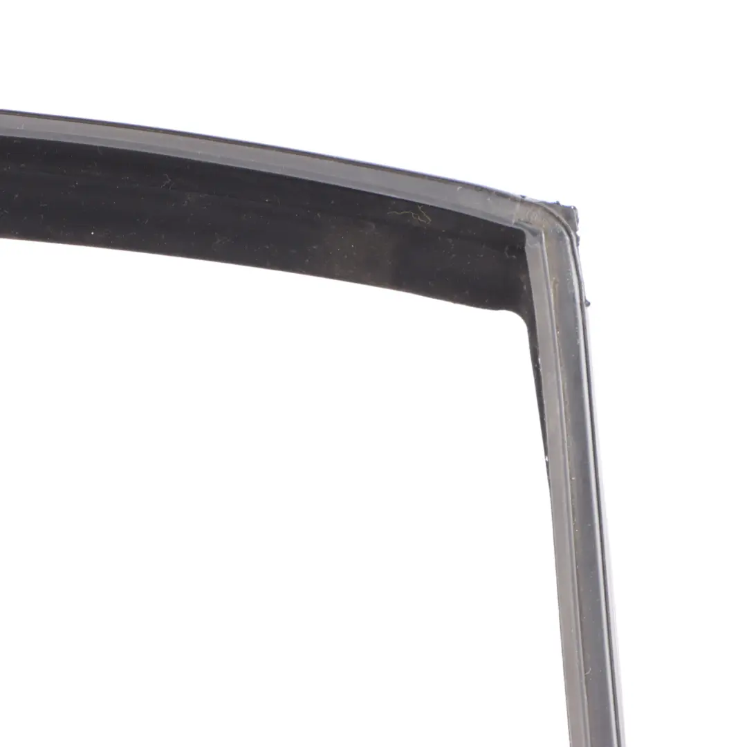 Mercedes W221 Finestrino Guida Guarnizione Porta Posteriore Sinistra - SKU A2217356325 - Numero di parte A2217356325