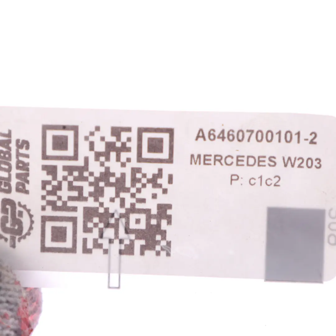 Fuel Pump Mercedes W203 W211 W639 W906 OM646 High Pressure Pump - SKU A6460700101-2 - Part number A6460700101