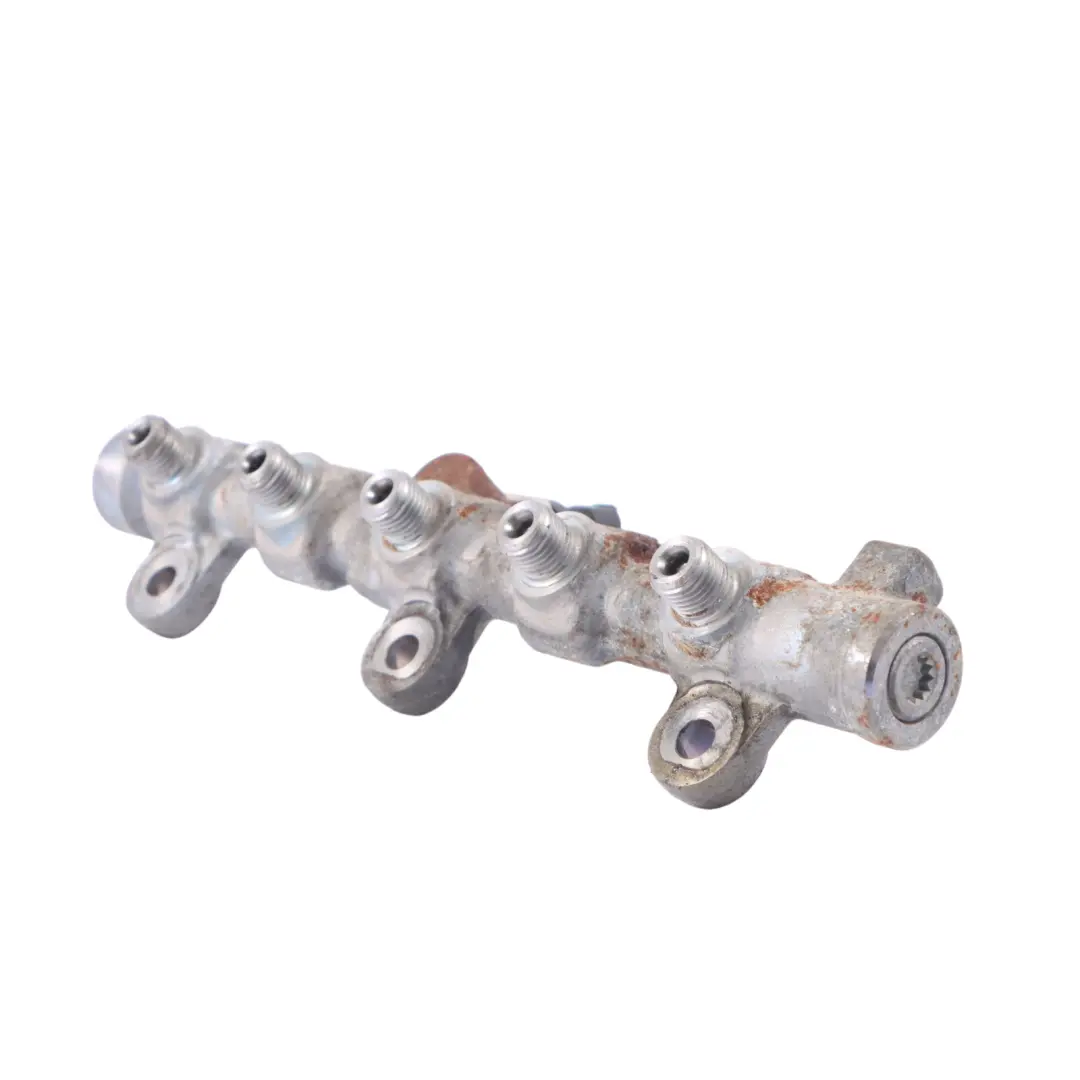 Inyector combustible Rail Line para Renault Trafic II Master III 2.3 DCI con número de pieza H8200912225 Renault Trafic II Master III 2.3 DCI Inyector combustible Rail Line - SKU H8200912225 - Número de pieza H8200912225