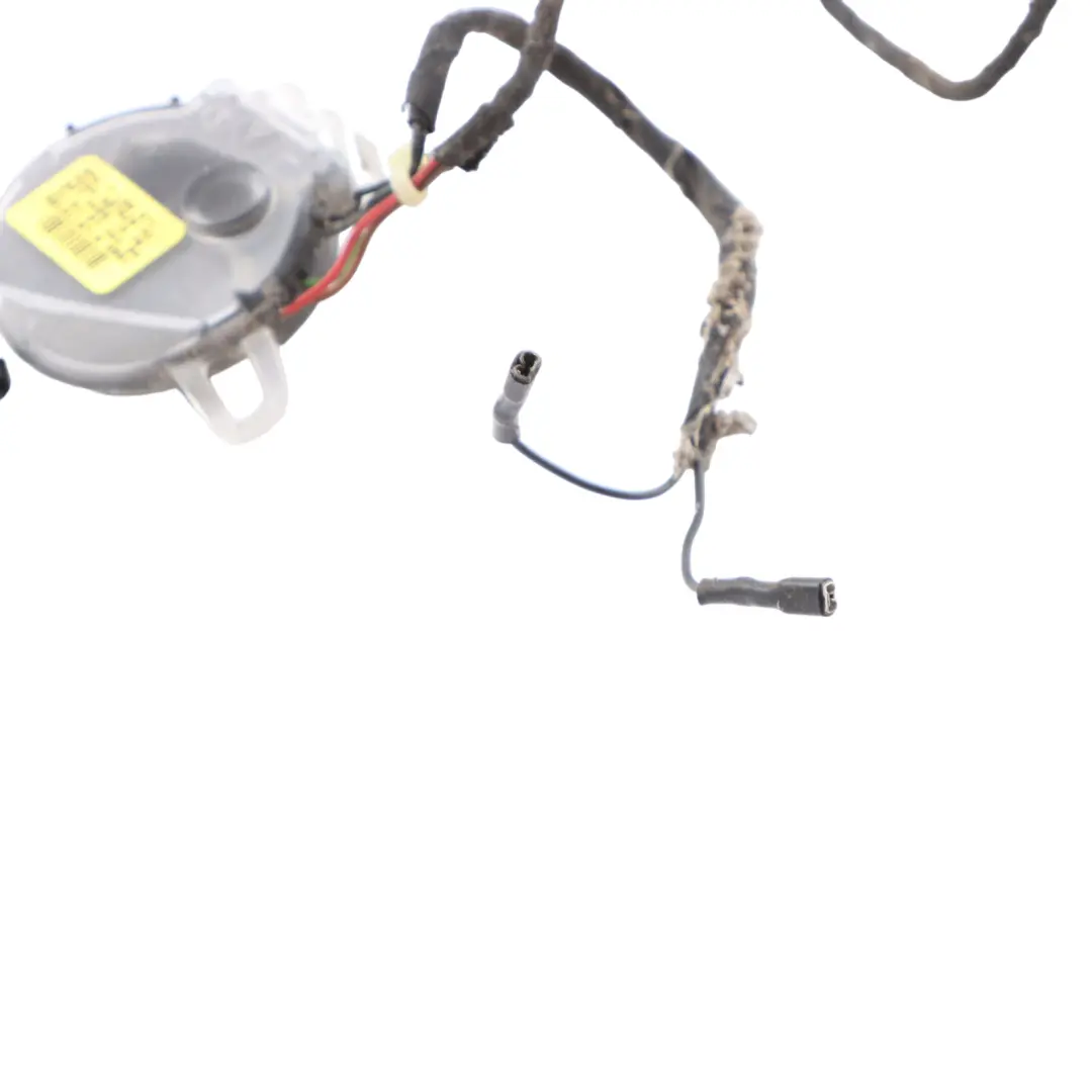 BMW X5 E70 Wing Mirror Drive Motor Left N/S Actuator Unit - SKU RHD-7196971 - Part number 7196971