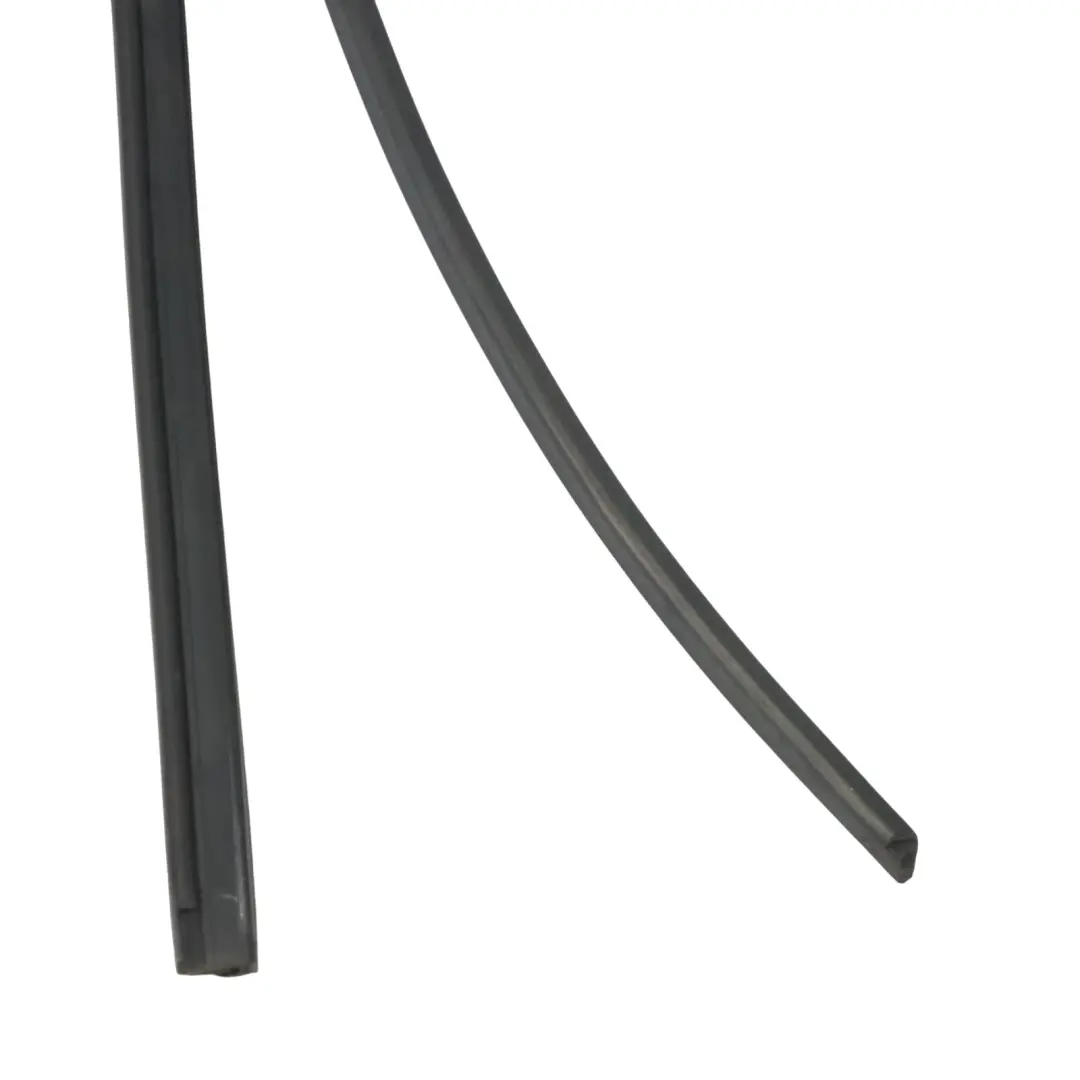 Volkswagen Golf Mk5 1K Door Window Guide Seal Rear Left N/S - SKU 1K6839431G - Part number 1K6839431G