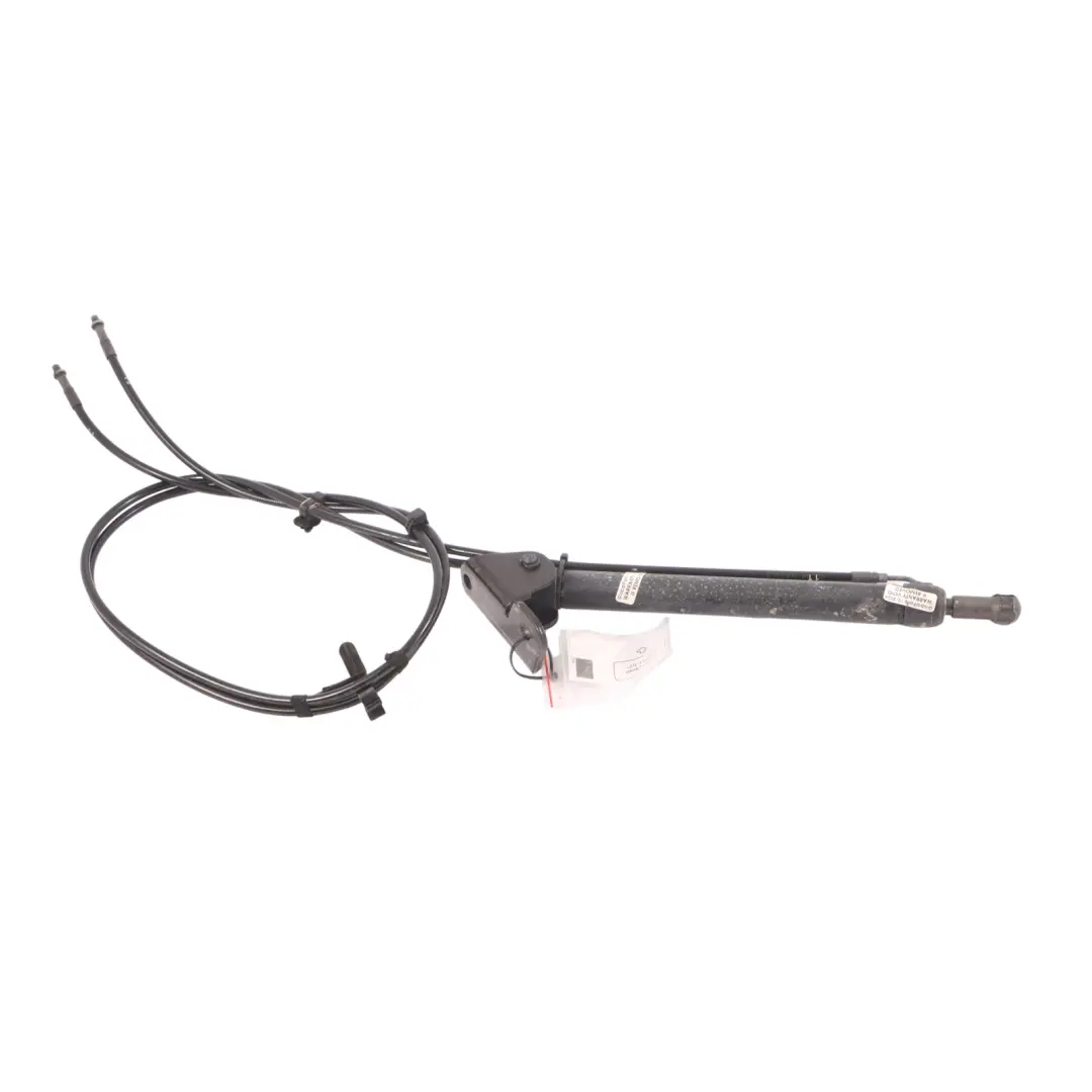 Interruptor cilindro hidráulico techo para Volkswagen New Beetle Cabriolet con número de pieza 1Y0871795B Volkswagen New Beetle Cabriolet Interruptor cilindro hidráulico techo - SKU 1Y0871795B - Número de pieza 1Y0871795B