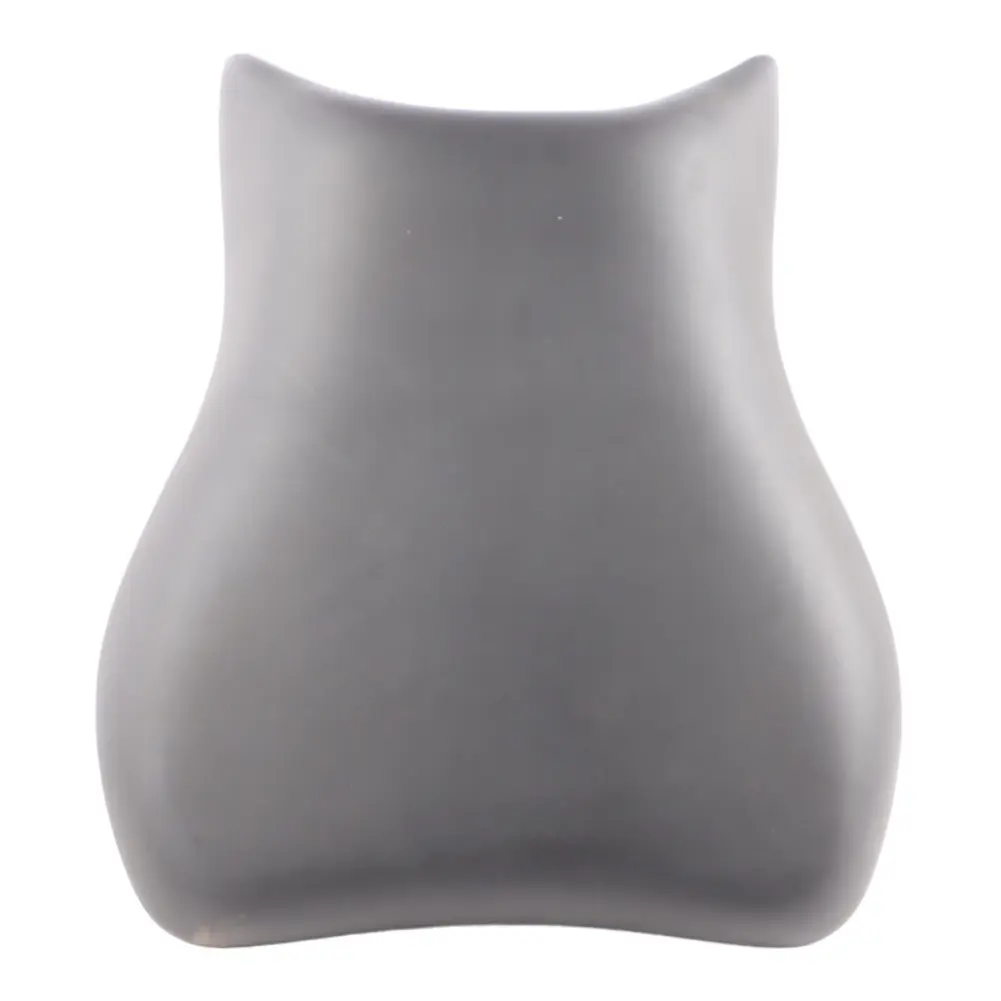 SV650 Rear Seat Passenger Seating Cushion 45300-19F51-W05 to Suzuki with Part number 4530019F51W05 Suzuki SV650 Rear Seat Passenger Seating Cushion 45300-19F51-W05 - SKU 4530019F51W05 - Part number 4530019F51W05