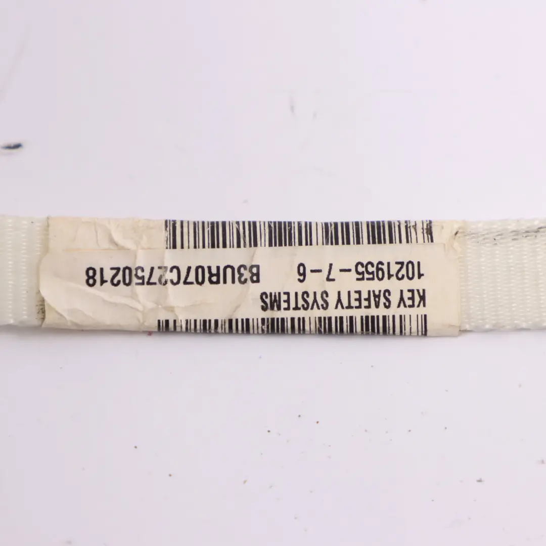 Audi A6 C7 Modulo aria tetto a tendina Headliner destro 4G5880741C - SKU 4G5880742C - Numero di parte 4G5880742C