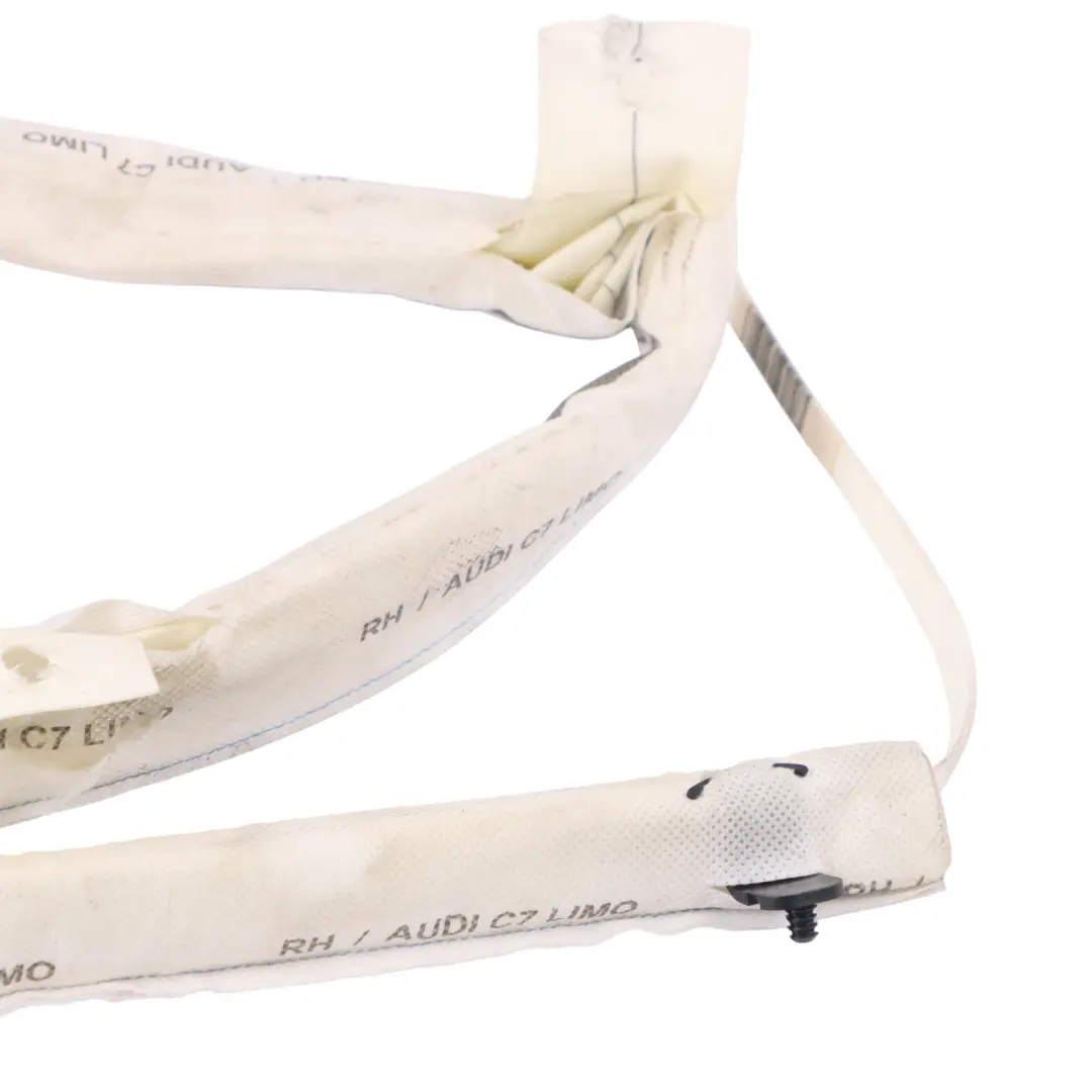 Audi A6 C7 Modulo aria tetto a tendina Headliner destro 4G5880741C - SKU 4G5880742C - Numero di parte 4G5880742C