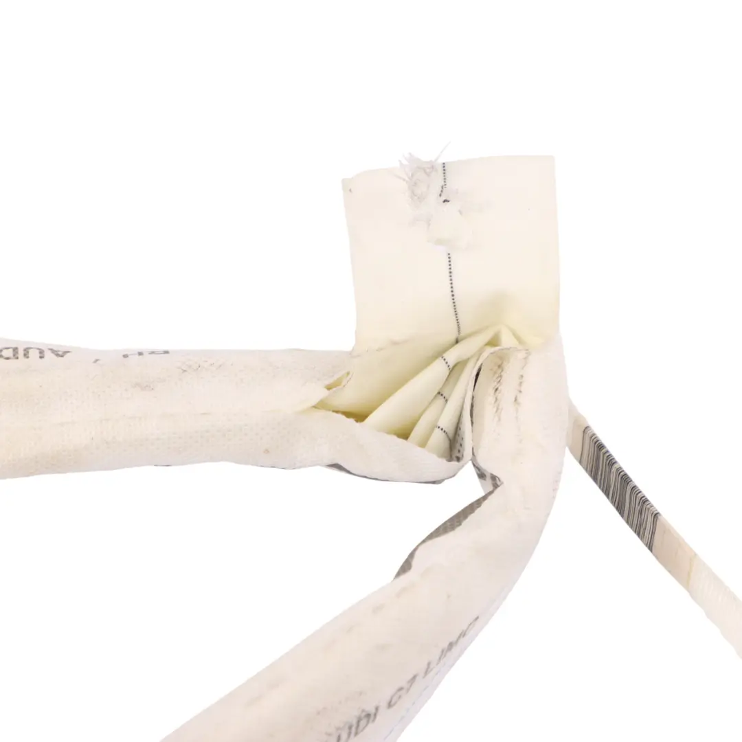 Techo Módulo Aire Techo Derecho 4G5880741C para Audi A6 C7 Cortina con número de pieza 4G5880742C Audi A6 C7 Cortina Techo Módulo Aire Techo Derecho 4G5880741C - SKU 4G5880742C - Número de pieza 4G5880742C