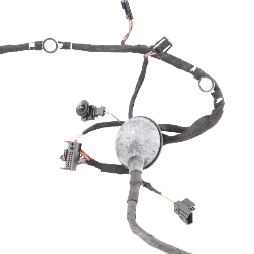 Audi RS6 C7 Tür Verkabelung Vorne Links Tür Kabelbaum Loom - SKU 4G5971030EF - Teilenummer 4G5971030EF