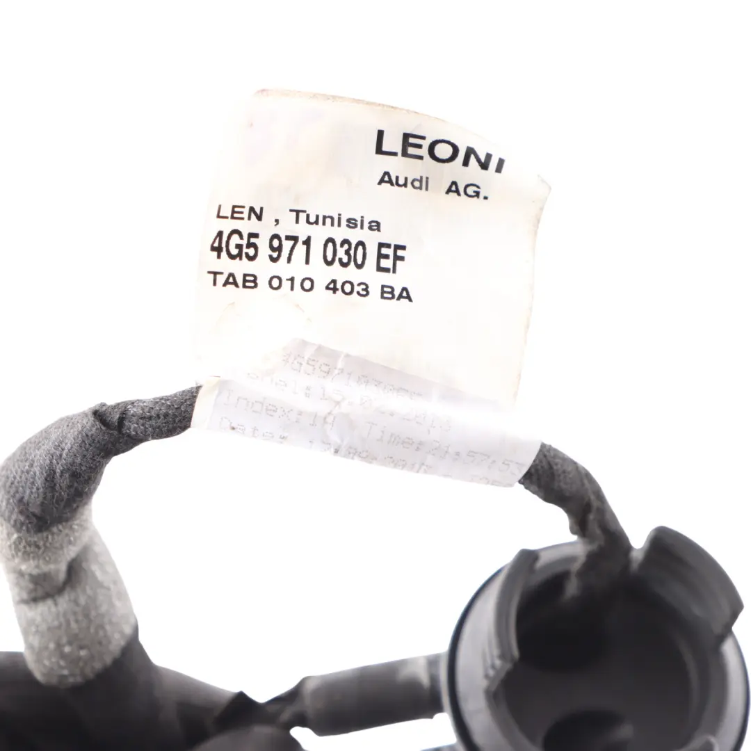 Audi RS6 C7 Cableado Puerta Delantera Izquierda Mazo Puerta - SKU 4G5971030EF - Número de pieza 4G5971030EF