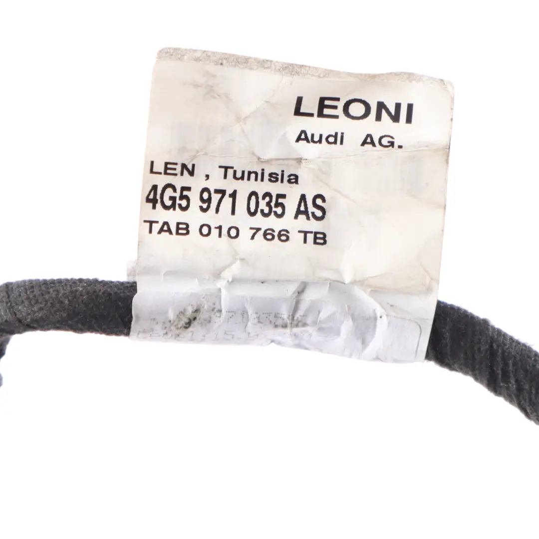 Front Door Wiring Harness Cable Loom Right O/S to Audi RS6 C7 with Part number 4G5971035AS Audi RS6 C7 Front Door Wiring Harness Cable Loom Right O/S - SKU 4G5971035AS - Part number 4G5971035AS