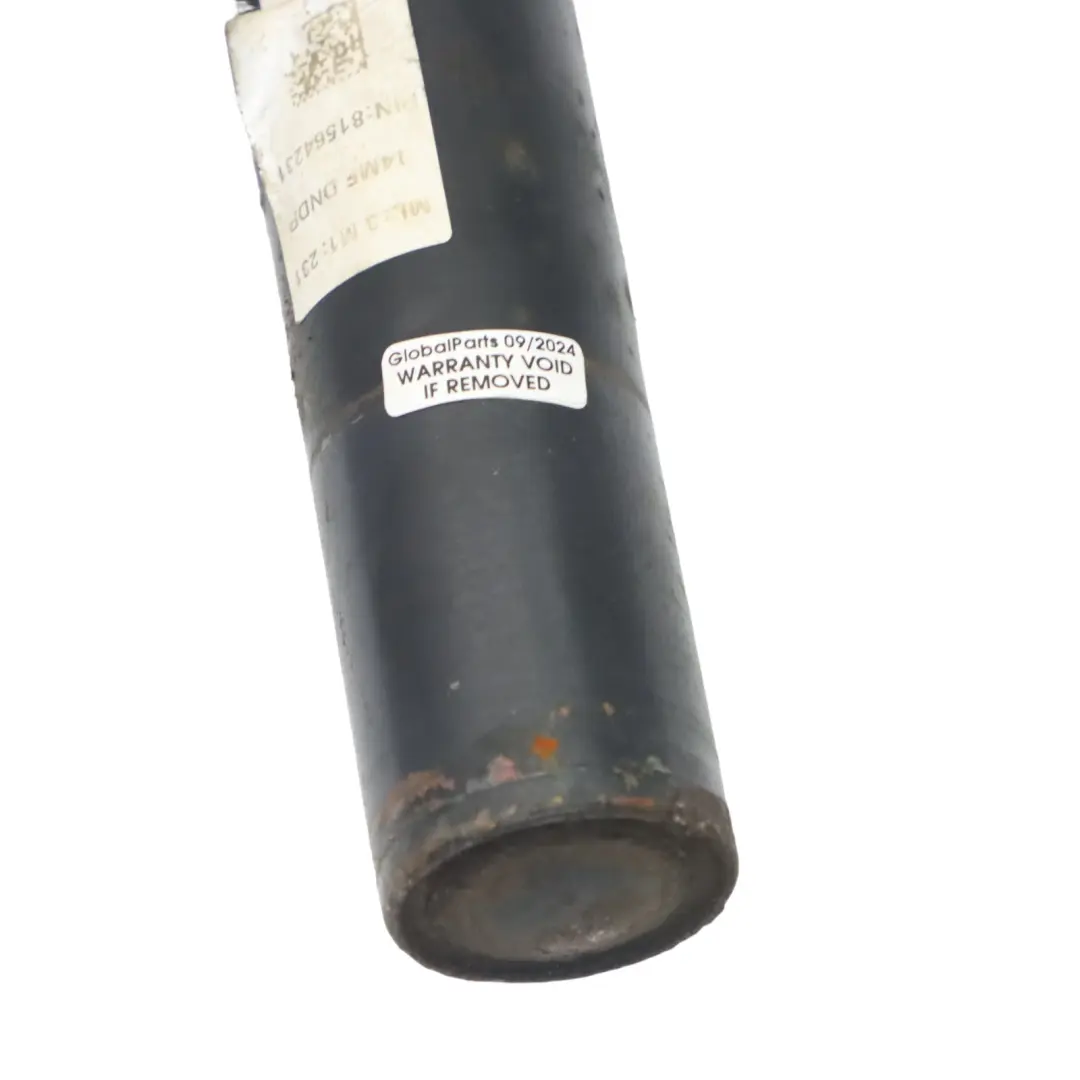 Federbein Aufhängung Stoßdämpfer vorne für Volkswagen VW Golf 7 mit Teilenummer 5Q0413023 Volkswagen VW Golf 7 Federbein Aufhängung Stoßdämpfer vorne - SKU 5Q0413023 - Teilenummer 5Q0413023