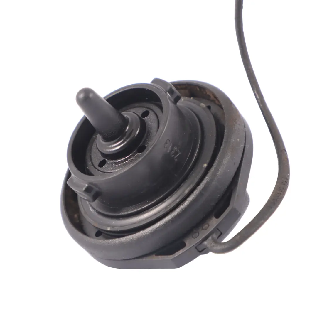 Vis Remplissage Réservoir Volkswagen Passat B6 Audi Q2 GA Couvercle 3C0201553K pour à propos du numéro de pièce 5WA201550AM Vis Remplissage Réservoir Volkswagen Passat B6 Audi Q2 GA Couvercle 3C0201553K - SKU 5WA201550AM - Numéro de pièce 5WA201550AM