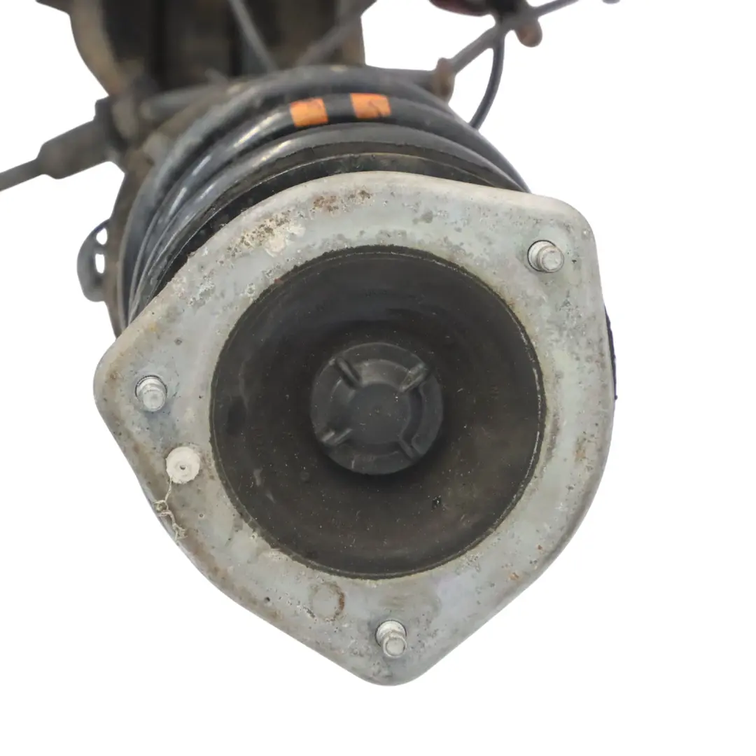 Molla Sospensioni Cuscinetto Perno Frontale SX per Mini R55 Clubman N12 N16 con numero di parte 6781903 Mini R55 Clubman N12 N16 Molla Sospensioni Cuscinetto Perno Frontale SX - SKU 6781903-2 - Numero di parte 6781903