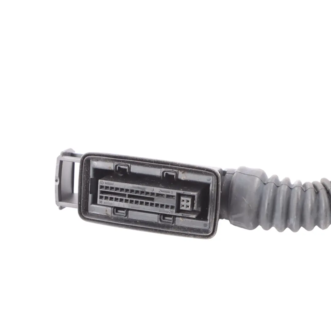 BMW X1 F48 Posteriore Sinistra Destra Porta Cablaggio Loom - SKU 6812218 - Numero di parte 6812218
