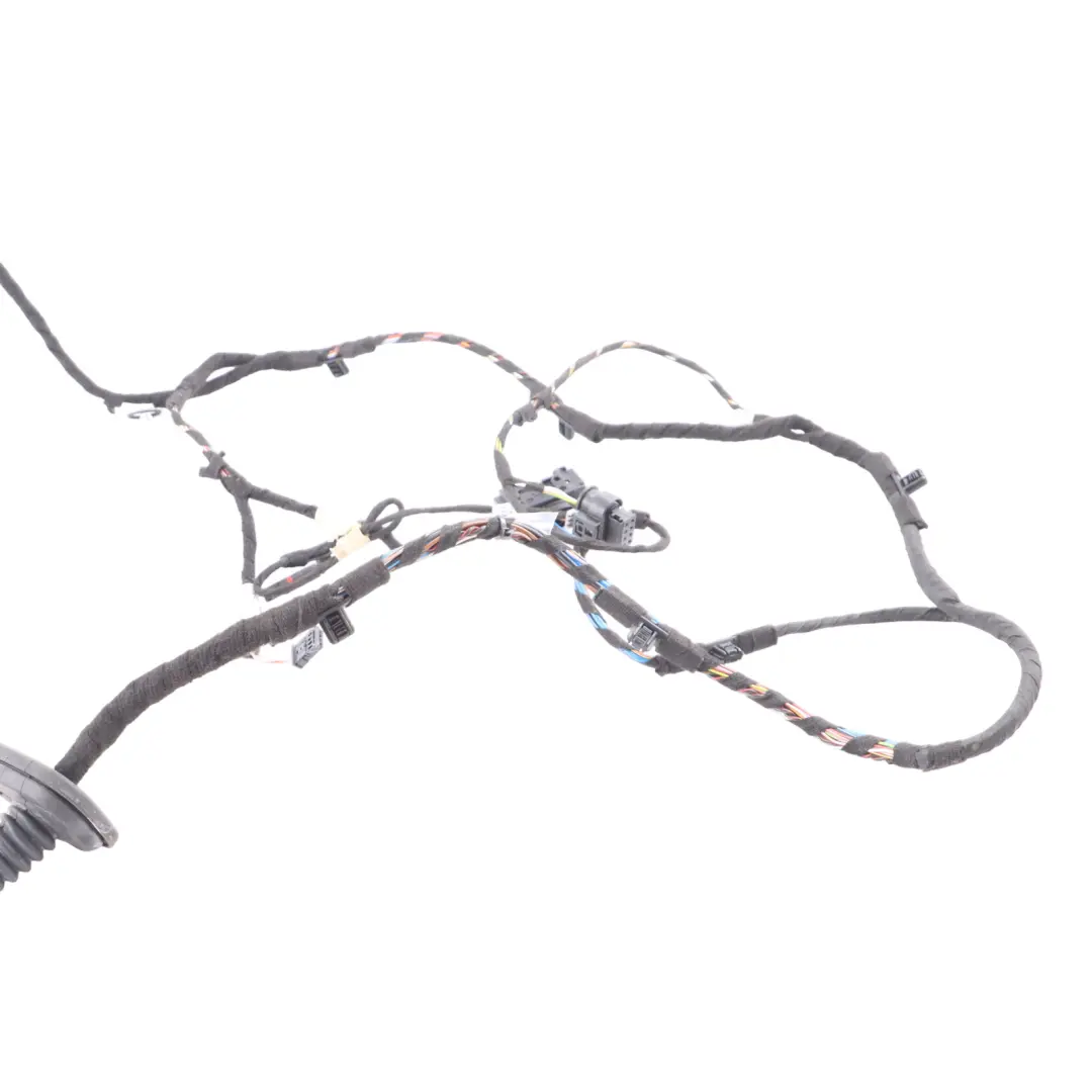 BMW X1 F48 Posteriore Sinistra Destra Porta Cablaggio Loom - SKU 6812218 - Numero di parte 6812218