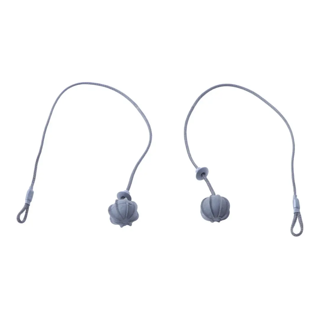 Mini Cooper R50 R53 Parcel Shelf Cord String Strap Set - SKU 7056788 - Part number 7056788