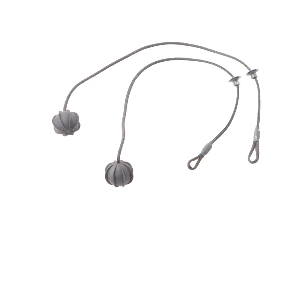 Parcel Shelf Cord String Strap Set to Mini Cooper R50 R53 with Part number 7056788 Mini Cooper R50 R53 Parcel Shelf Cord String Strap Set - SKU 7056788 - Part number 7056788