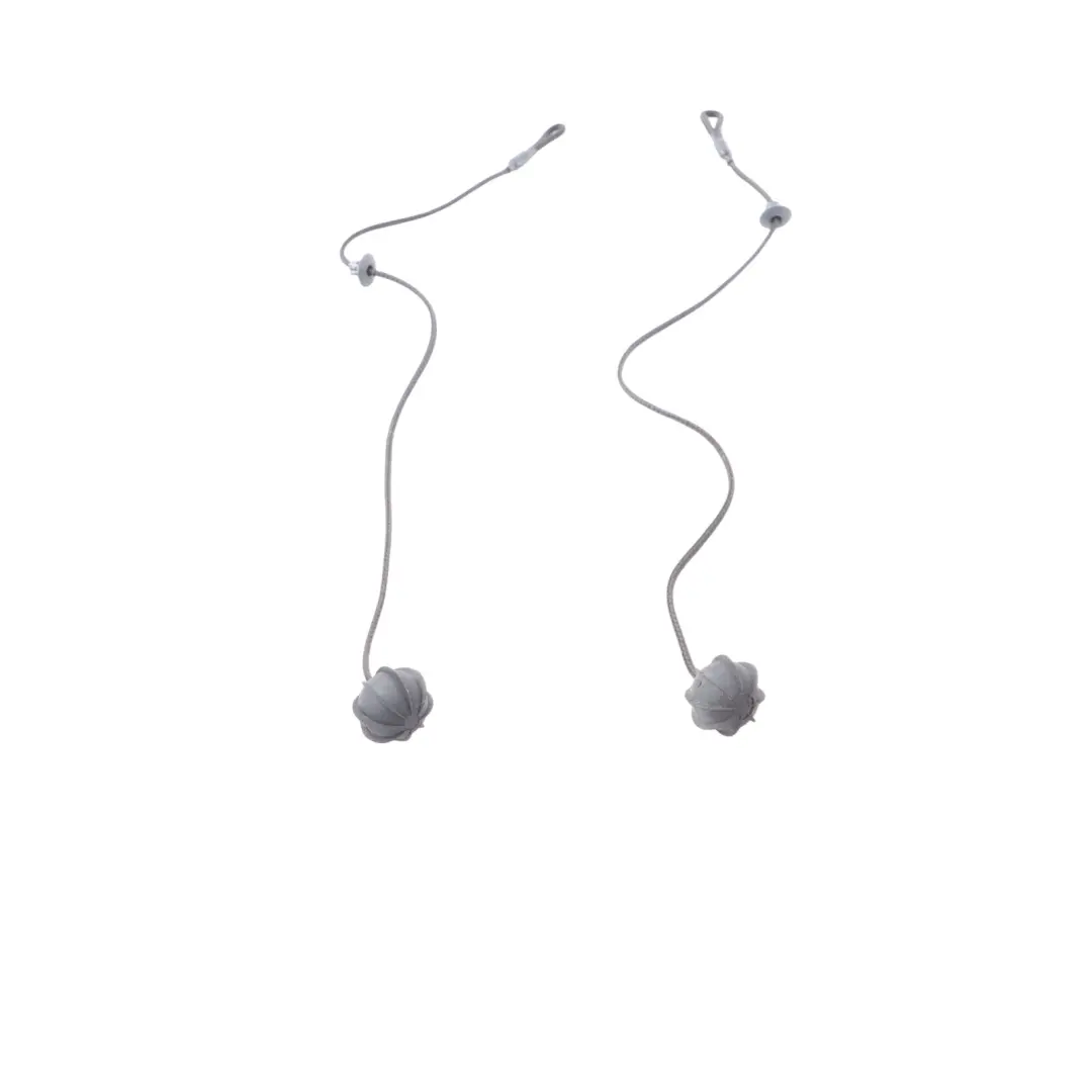 Parcel Shelf Cord String Strap Set to Mini Cooper R50 R53 with Part number 7056788 Mini Cooper R50 R53 Parcel Shelf Cord String Strap Set - SKU 7056788 - Part number 7056788