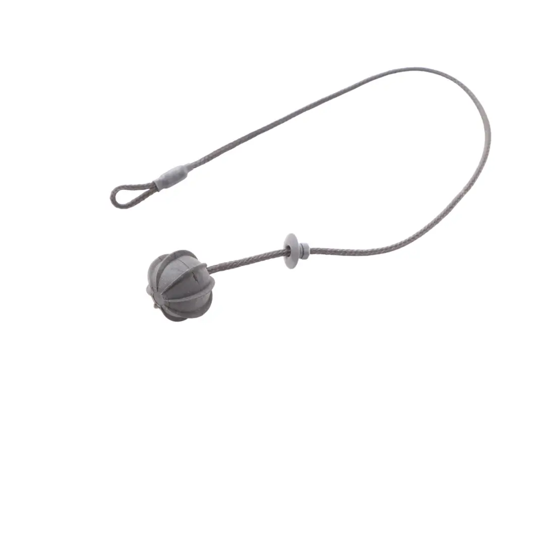 Mini Cooper R50 R53 Parcel Shelf Cord String Strap Set - SKU 7056788 - Part number 7056788