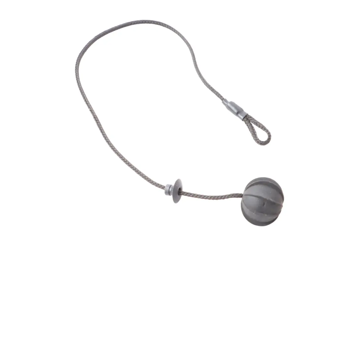 Parcel Shelf Cord String Strap Set to Mini Cooper R50 R53 with Part number 7056788 Mini Cooper R50 R53 Parcel Shelf Cord String Strap Set - SKU 7056788 - Part number 7056788