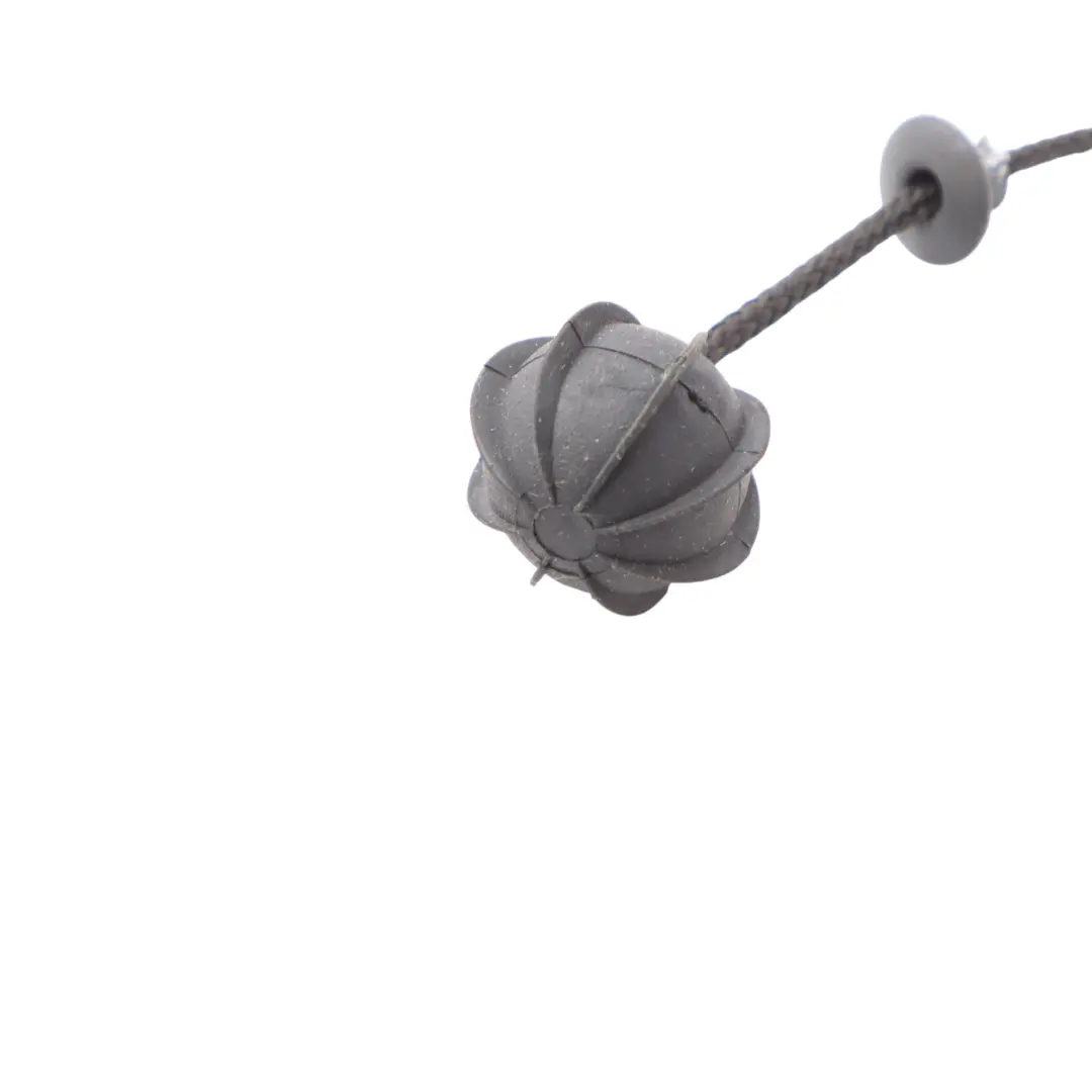 Parcel Shelf Cord String Strap Set to Mini Cooper R50 R53 with Part number 7056788 Mini Cooper R50 R53 Parcel Shelf Cord String Strap Set - SKU 7056788 - Part number 7056788