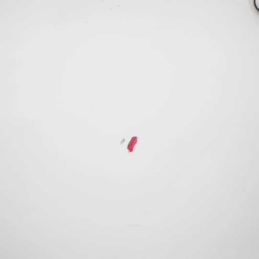 Door Front Left N/S BMW E81 E82 E88 Alpinweiss Alpine White 3 - 300 to with Part number 7207445 Door Front Left N/S BMW E81 E82 E88 Alpinweiss Alpine White 3 - 300 - SKU 7207445-AW - Part number 7207445