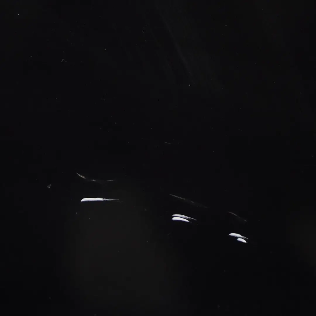 BMW X5 E70 Porta posteriore destra Carbonschwarz Metallic - 416 - SKU 7261482-CAR1 - Numero di parte 7261482