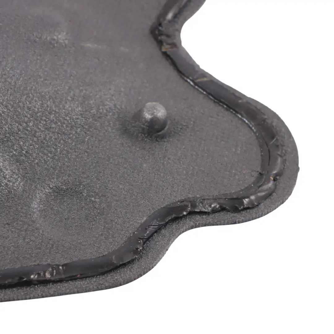 Vorder Tür Akustik Isolierung Filz Platte Platte Links für BMW X1 F48 mit Teilenummer 7433804 BMW X1 F48 Vorder Tür Akustik Isolierung Filz Platte Platte Links - SKU 7433804 - Teilenummer 7433804