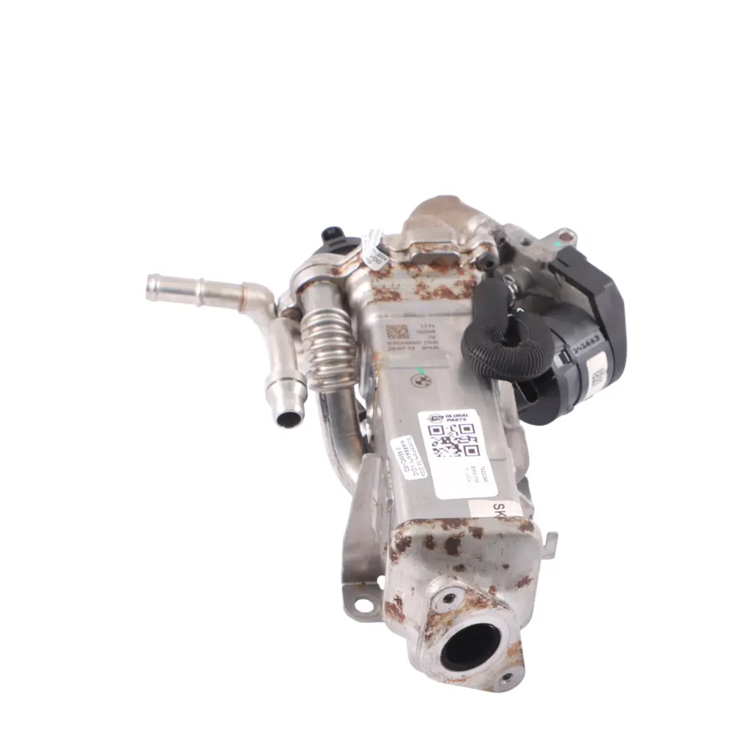Refroidisseur EGR Gaz D'Échappement Diesel pour BMW F10 F20 F30 F34 GT à propos du numéro de pièce 7822346 BMW F10 F20 F30 F34 GT Refroidisseur EGR Gaz D'Échappement Diesel - SKU 7822346 - Numéro de pièce 7822346