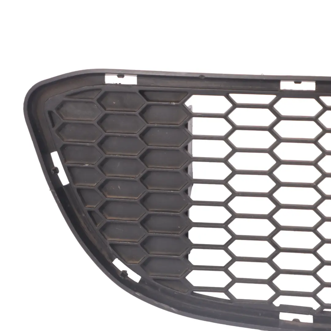 BMW E82 E88 M Sport Front Bumper Lower Centre Grid - SKU 8045432 - Part number 8045432