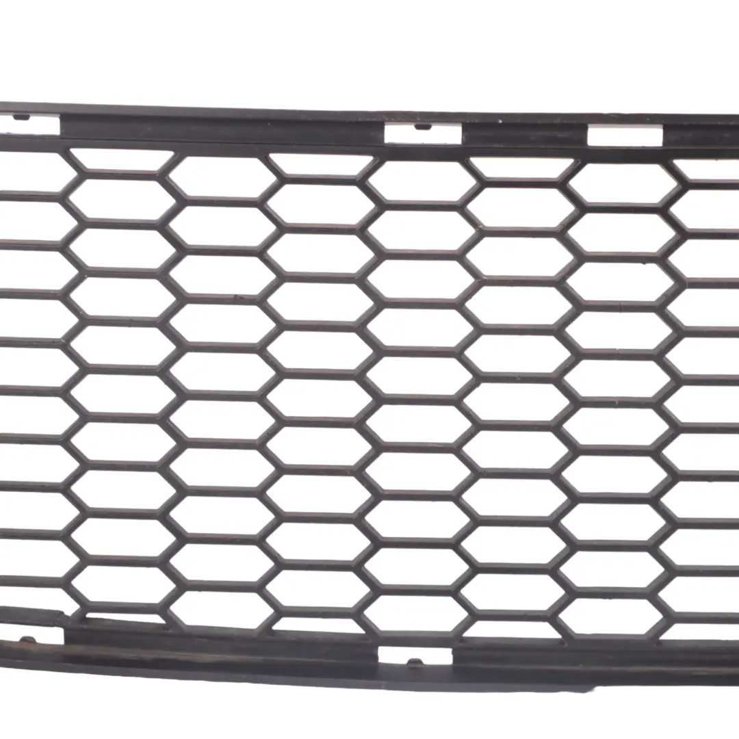 BMW E82 E88 M Sport Front Bumper Lower Centre Grid - SKU 8045432 - Part number 8045432