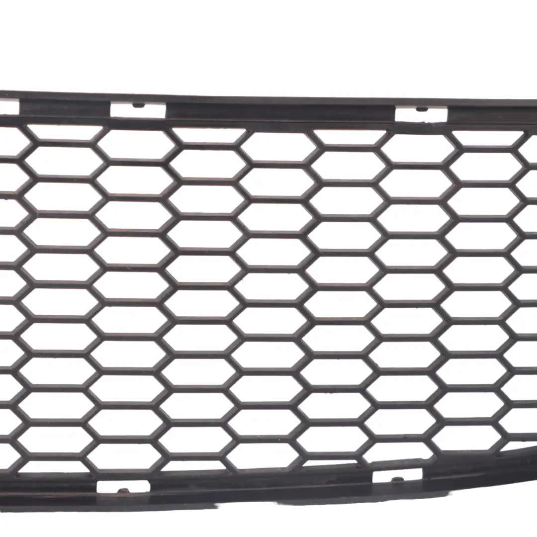 BMW E82 E88 M Sport Front Bumper Lower Centre Grid - SKU 8045432 - Part number 8045432