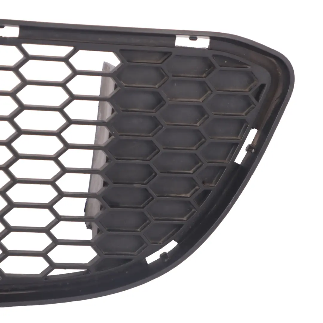 BMW E82 E88 M Sport Front Bumper Lower Centre Grid - SKU 8045432 - Part number 8045432