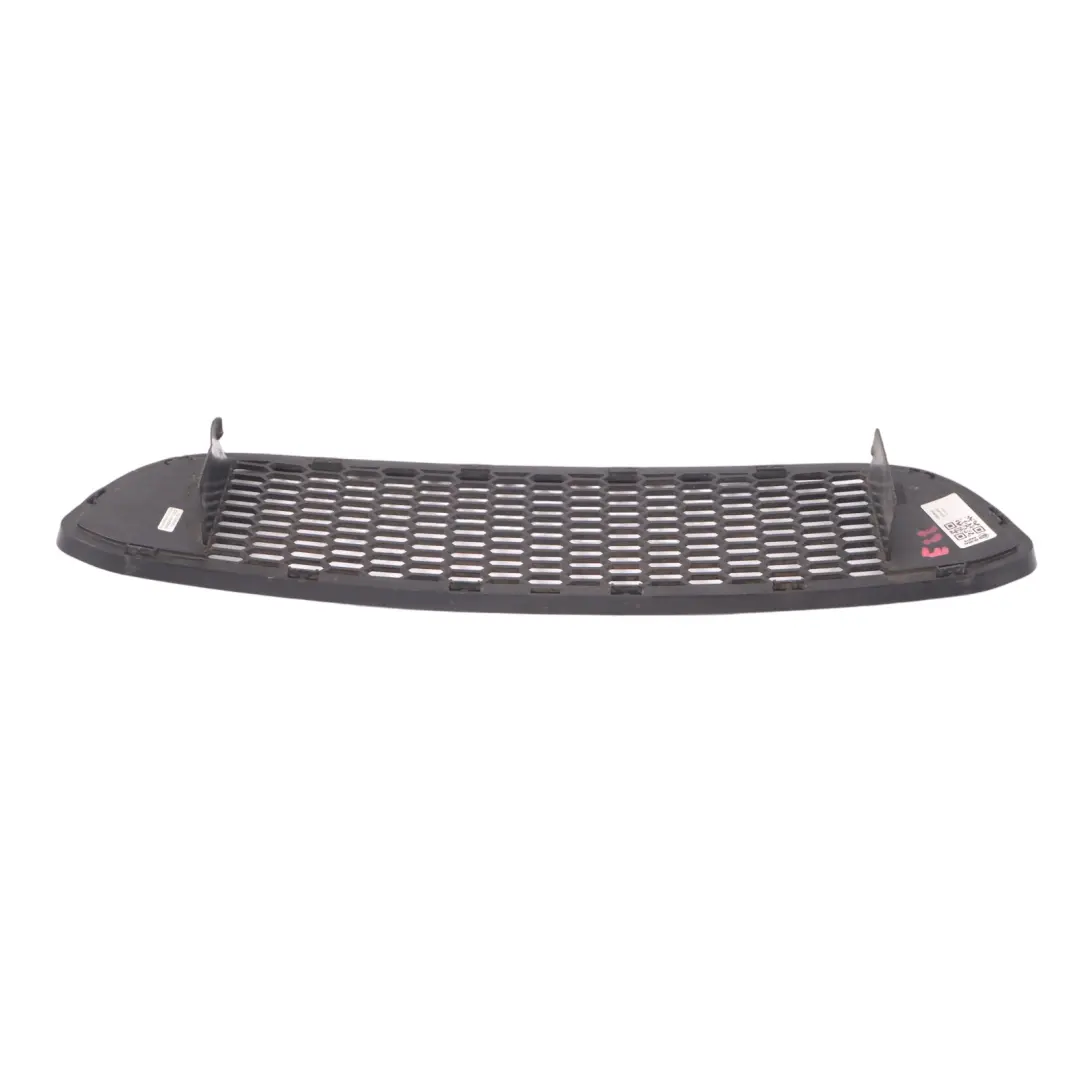 BMW E82 E88 M Sport Front Bumper Lower Centre Grid - SKU 8045432 - Part number 8045432