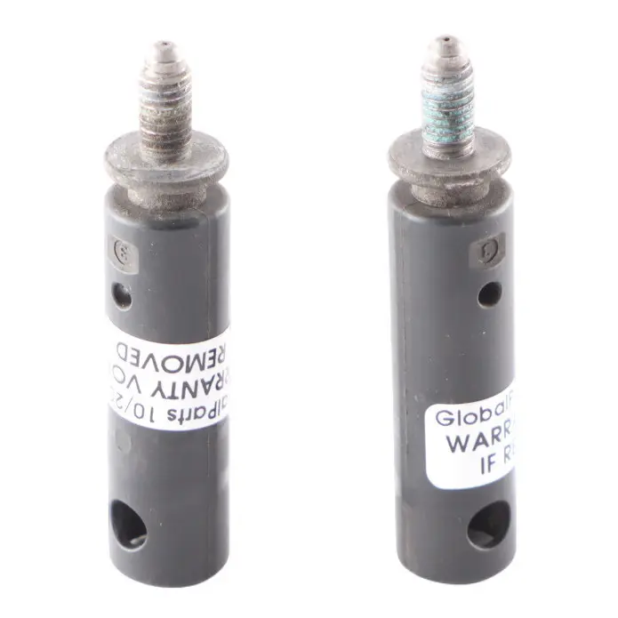 BMW F40 X1 F48 X2 F39 Coolant Mount Radiator Centering Pin Set M6X13,6 - SKU 8605551 - Part number 8605551