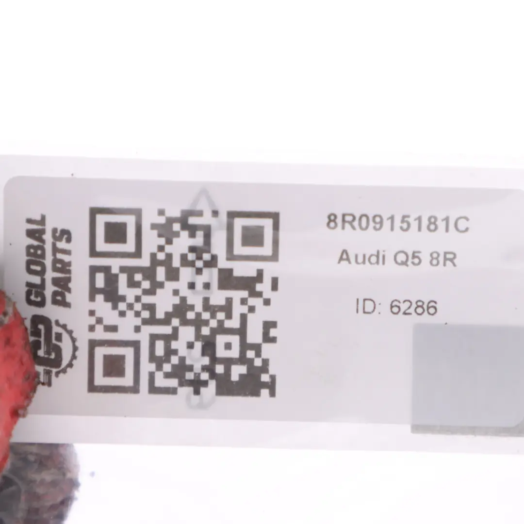 Cableado del terminal negativo de la batería Batería para Audi Q5 8R con número de pieza 8R0915181C Audi Q5 8R Cableado del terminal negativo de la batería Batería - SKU 8R0915181C - Número de pieza 8R0915181C