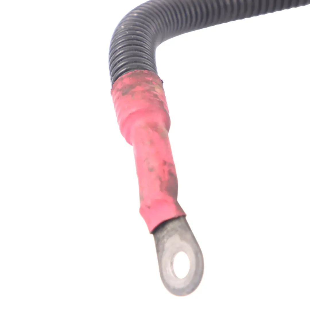 Verkabelung Lichtmaschine Anlasser für Mercedes ML W164 Diesel OM629 mit Teilenummer A1644406532 Mercedes ML W164 Diesel OM629 Verkabelung Lichtmaschine Anlasser - SKU A1644406532 - Teilenummer A1644406532