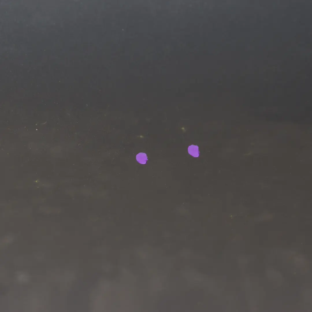 Door Rear Left N/S Palladium Silver Metallic - 792 to Mercedes W205 with Part number A2057300105 Mercedes W205 Door Rear Left N/S Palladium Silver Metallic - 792 - SKU A2057300105-PAL - Part number A2057300105