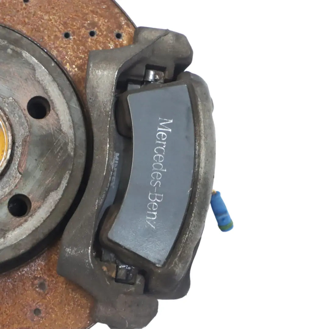 Delantero Derecho Suspensión Pierna Freno Rueda Portador para Mercedes W246 B180 CDI con número de pieza A2463233600 Mercedes W246 B180 CDI Delantero Derecho Suspensión Pierna Freno Rueda Portador - SKU A2463233600-1 - Número de pieza A2463233600