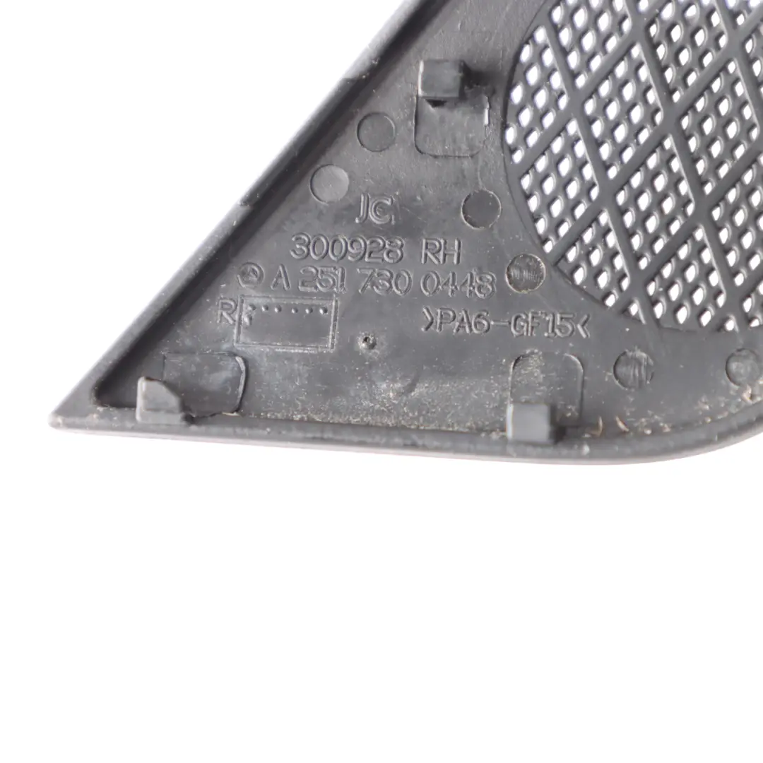Mercedes V251 Copri Altoparlante Tweeter Porta Posteriore Destra - SKU A2517300448 - Numero di parte A2517300448