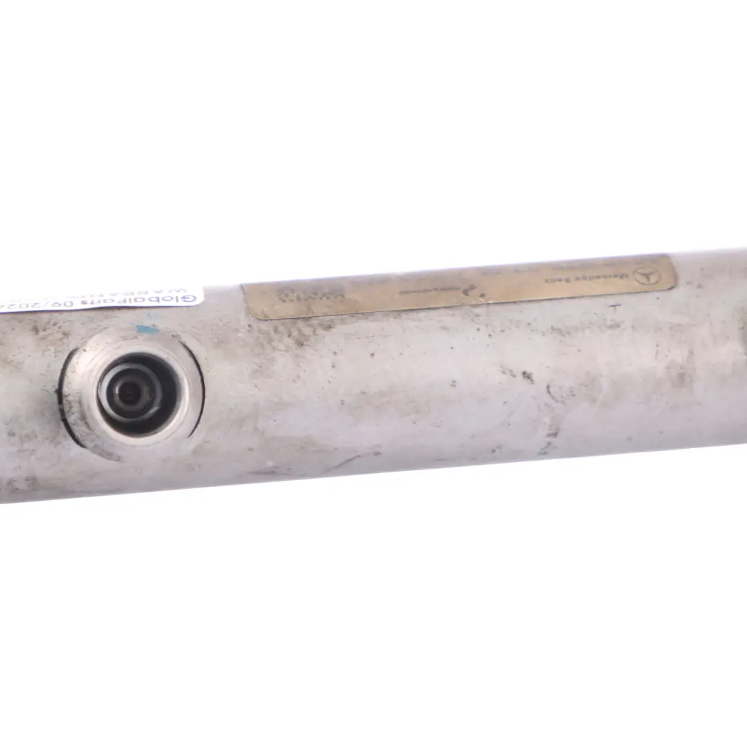 Mercedes W164 OM629 Diesel Inyección de Combustible Sensor de carril - SKU A6290700795 - Número de pieza A6290700795